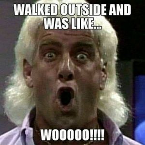 Meet your Posher, Carla